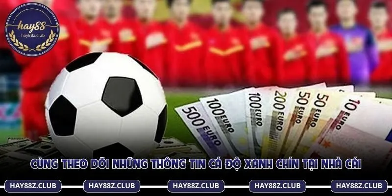 Cùng theo dõi những thông tin cá độ xanh chín tại nhà cái