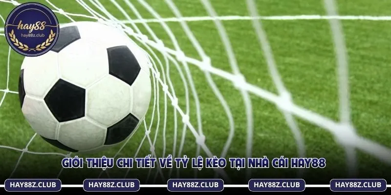 Tỷ lệ kèo được tổng hợp các thông tin quan trọng bóng đá